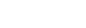 salsa solo